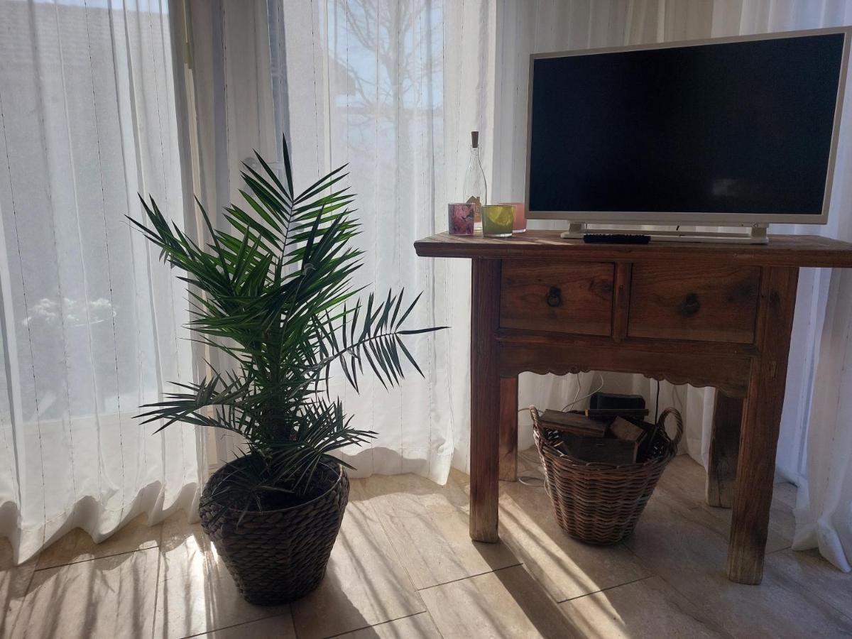 Cosy Petten, Family Only Экстерьер фото